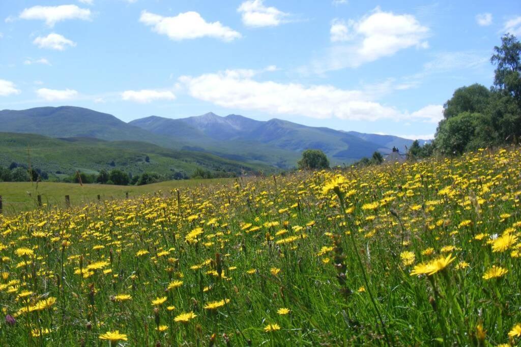 Cul Darach Lodge, Glen Roy Nature Reserve Roybridge Bagian luar foto